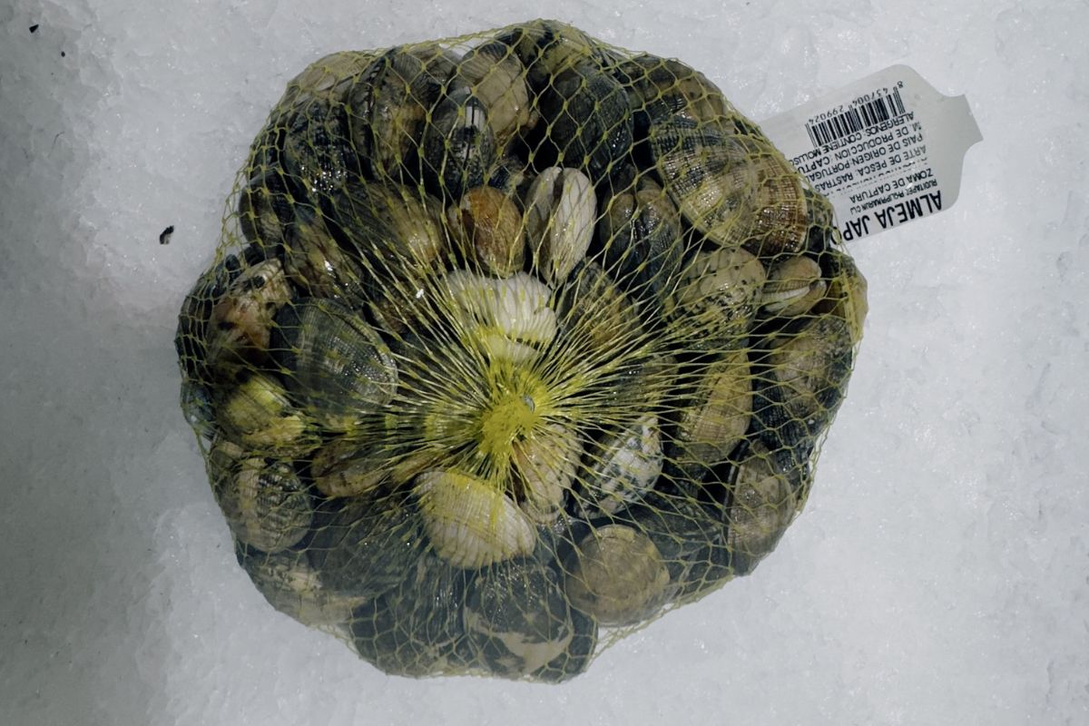 Almeja gallega P (bolsa de 1kg)