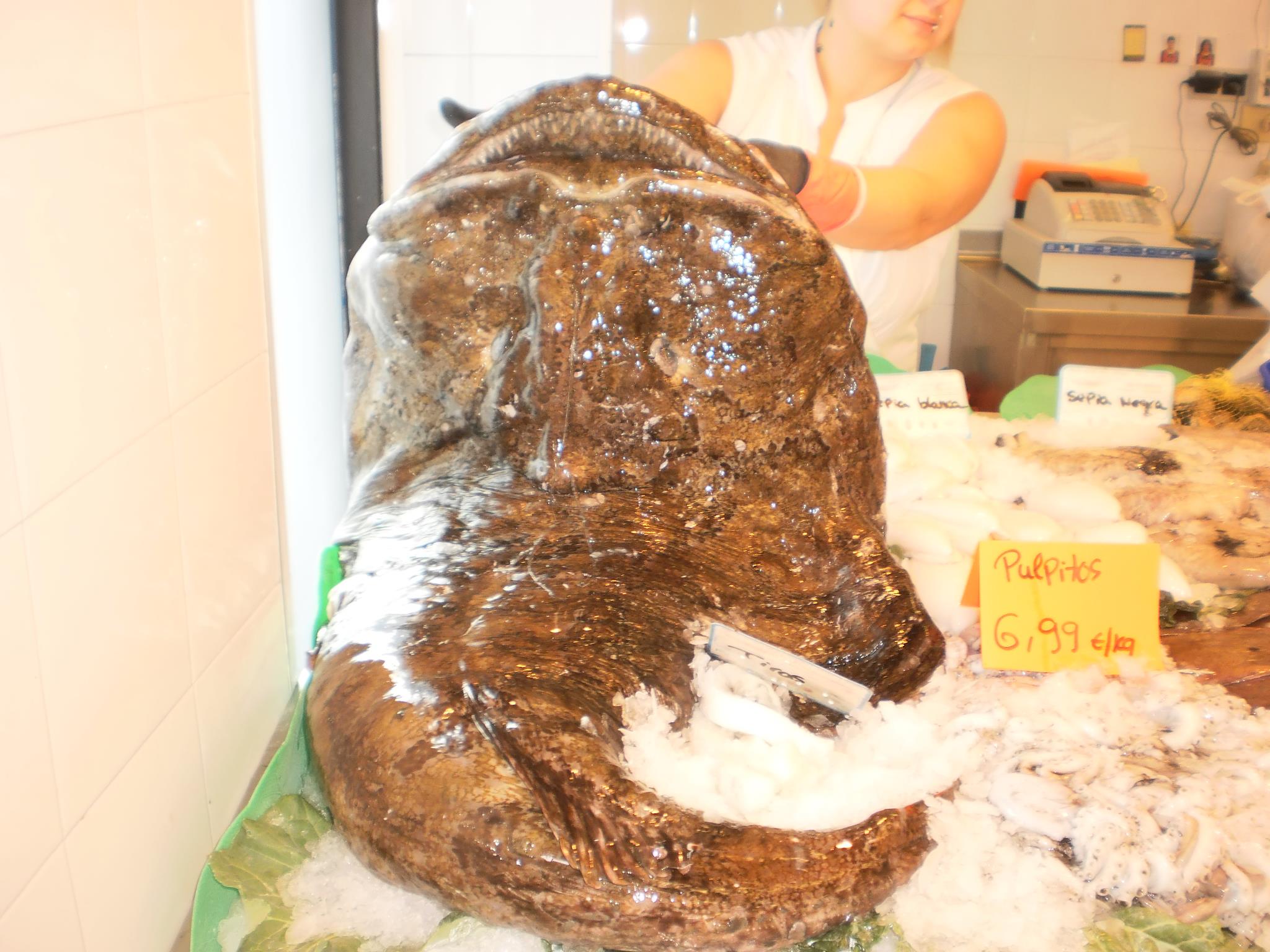 Rape de 1 a 2 kg